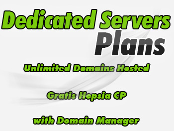 Cheap dedicated servers hosting services